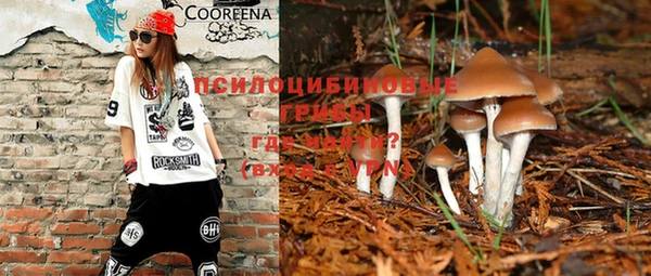 прущая мука Алексеевка