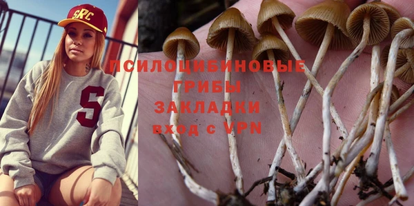 скорость Алзамай