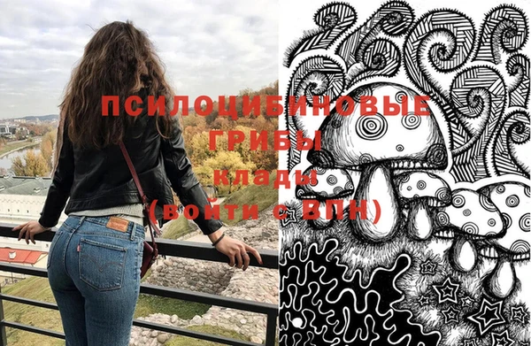 скорость Алзамай