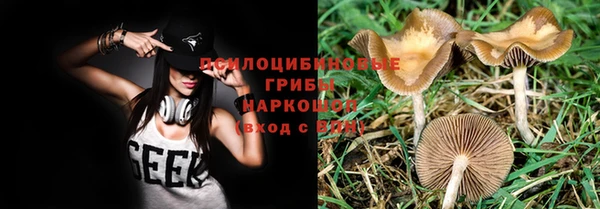 скорость Алзамай